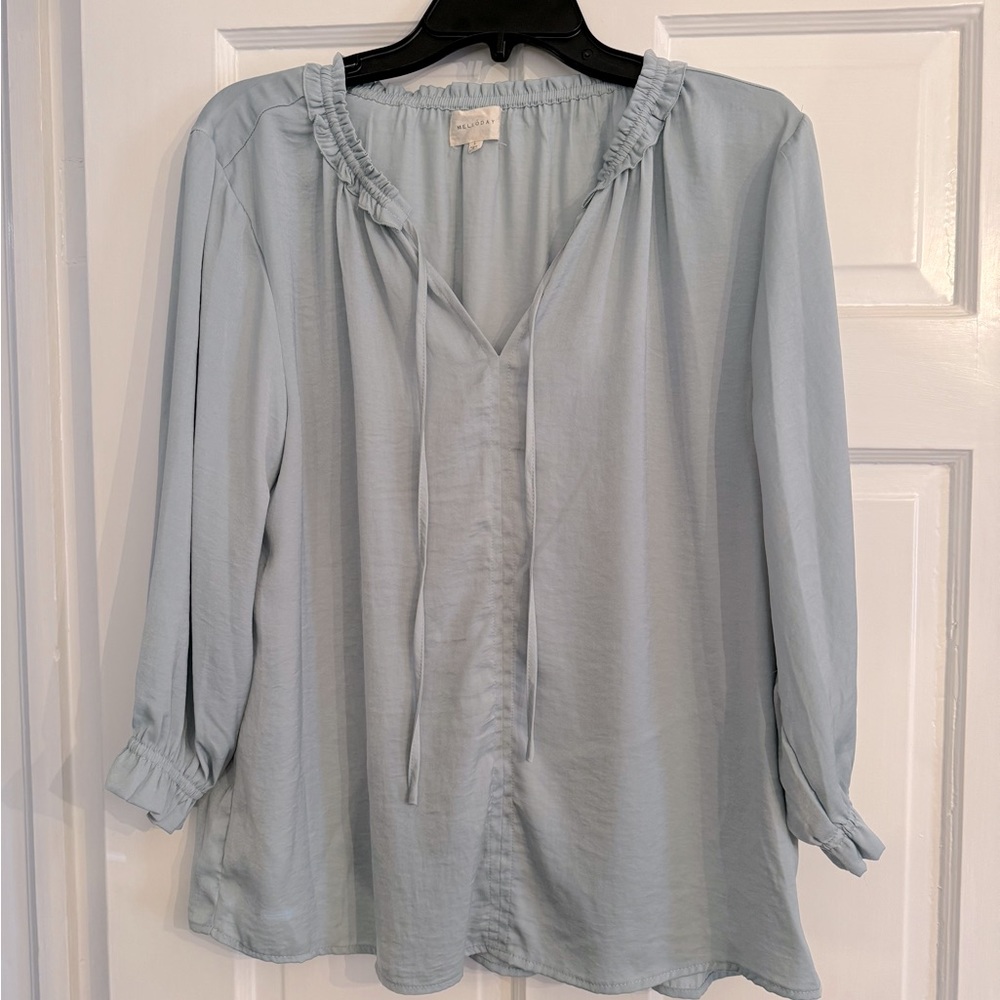 Boutique Shop Silky Blouse